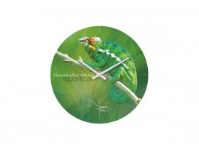 Часы настенные Nicole Time NT503 в Чокурдахе - chokurdah.mebel-nsk.ru | фото