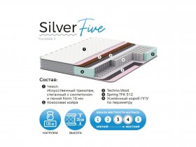 Матрас Silver Five в Чокурдахе - chokurdah.mebel-nsk.ru | фото